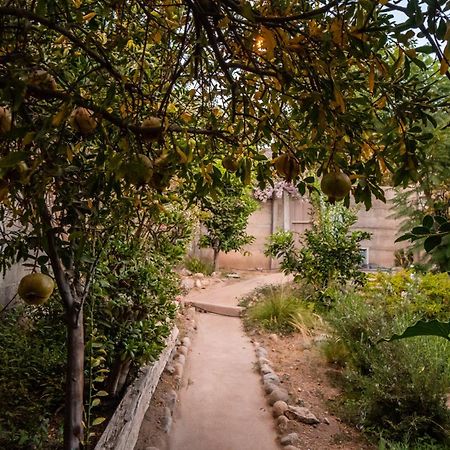 Вилла Casa Doris Викунья Экстерьер фото