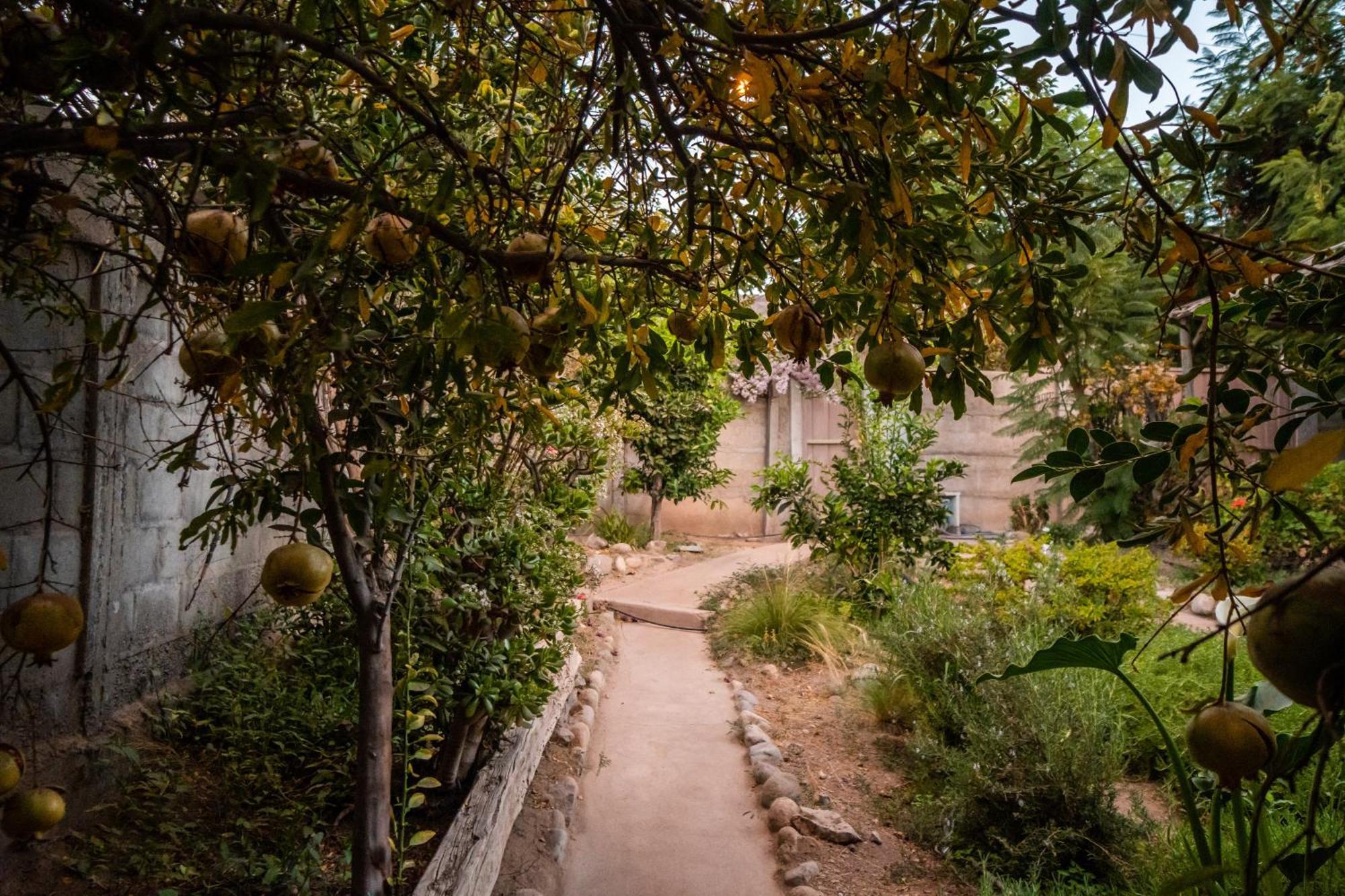 Вилла Casa Doris Викунья Экстерьер фото
